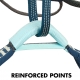 Avista Harness
